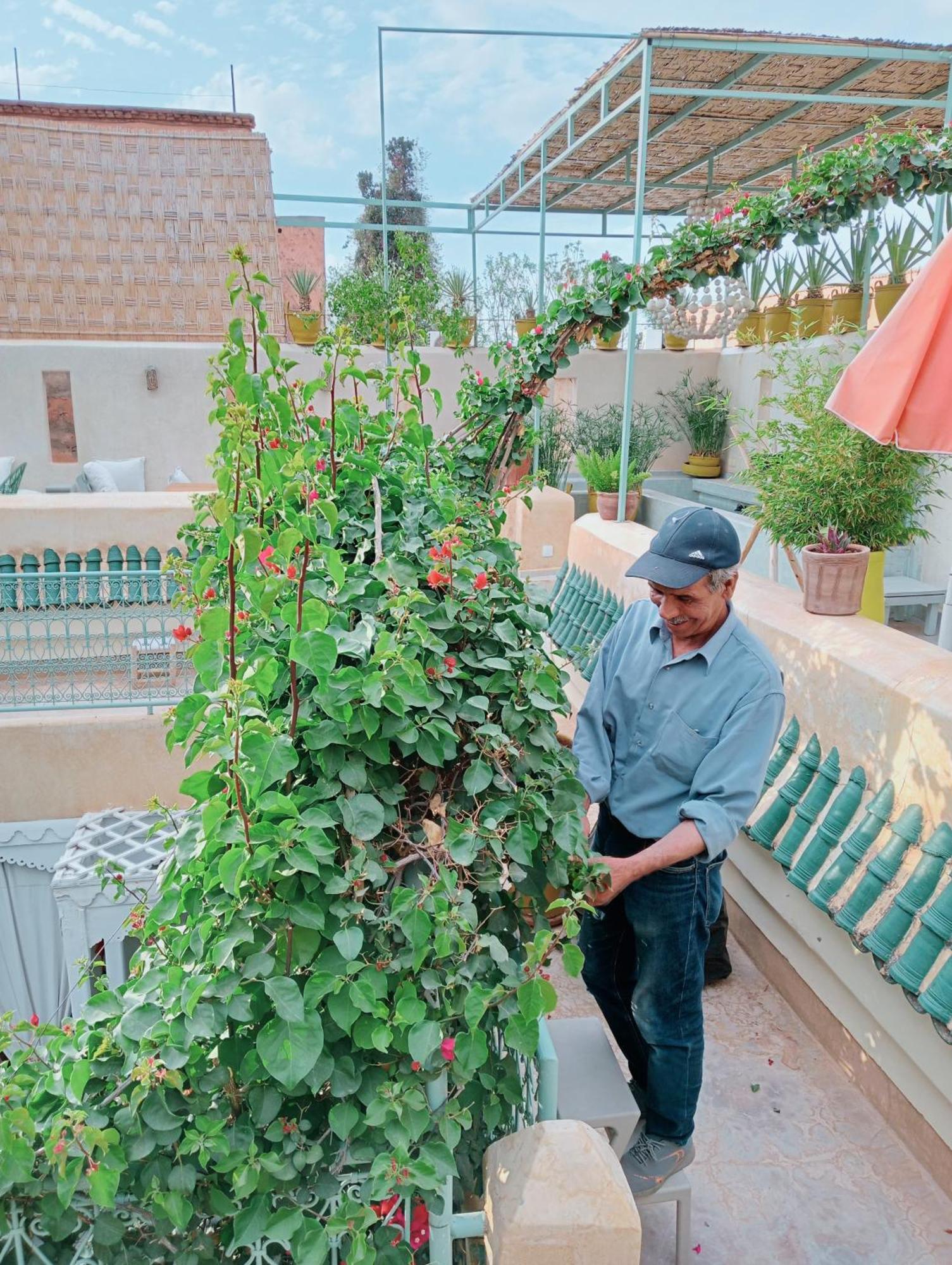 Riad Chambres D'Amis Marrakech Marrákes Kültér fotó